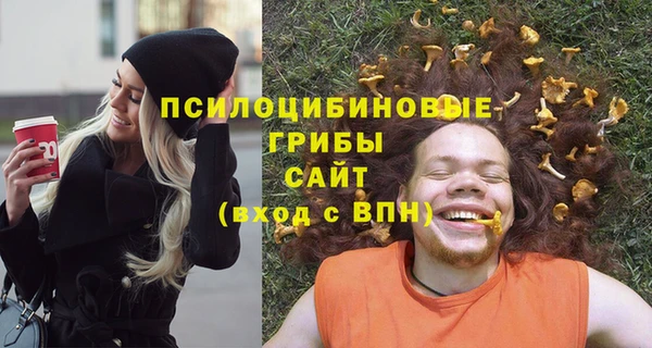 гидропоника Белокуриха