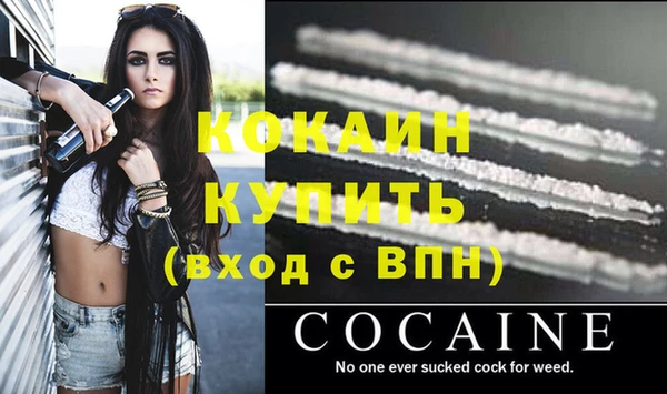 гидропоника Белокуриха