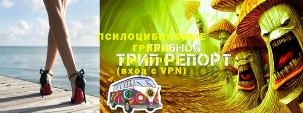 дмт Беломорск