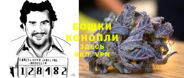 гидропоника Белокуриха