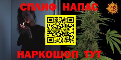 мдпв Пенза