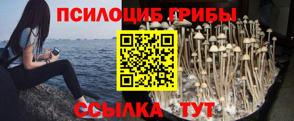 Псилоцибиновые грибы Psilocybine cubensis  Вход с VPN  Галлюциногенные грибы ЛСД  Свободный 
