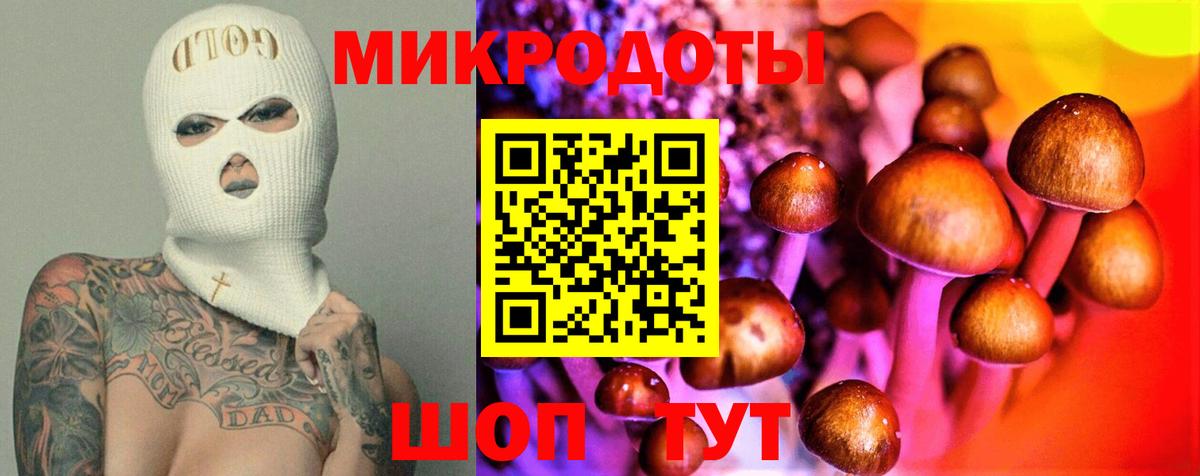 Псилоцибиновые грибы Psilocybe Свободный